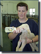 Photo of Nicole Frederick