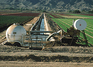 Fertilizer application applied directly into irrigation system for flood application.