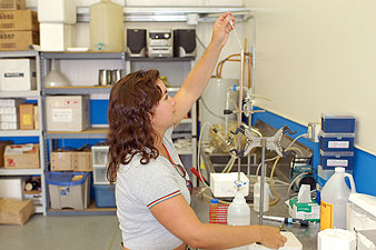 Measuring sugar content of the fresh grape juice.