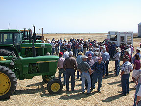 Live auction