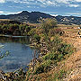 Riparian Zone