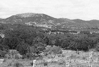 Historical photo of Nevada rangeland