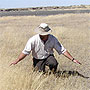 Surveying cheatgrass invasion