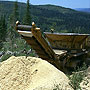 Wood Chip in the Sierras