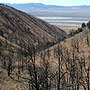 Burned area in Eureka, Co. Nevada