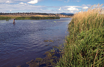 Stream depth measurements along the Sprague River, Oregon.