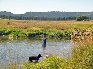 Stream samples collected along the Sprague River, Oregon.