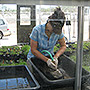 Greenhouse work