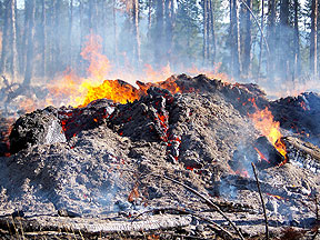 Close up of slash pile burning