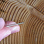 Counting rings of a tree