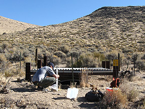 Collecting data from a new guzzler installed in the Mojave Desert