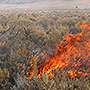 Rangeland fire