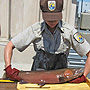 Lahontan cutthroat trout