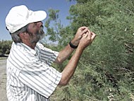 Tom Dudley, adjunct professor in the Department of Natural Resources and Environmental Science