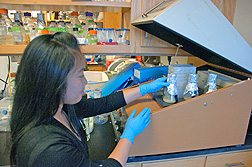 University of Nevada, Reno undergraduate student Elaine Bersaba