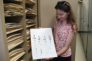 Dr. Beth Leger
