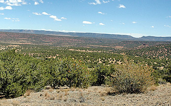 Long-Term Vegetation Response To Chaining And Prescribed Fire In ...