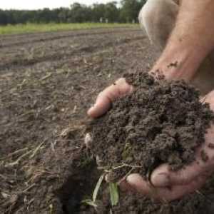 Handful of soil (NRCS)