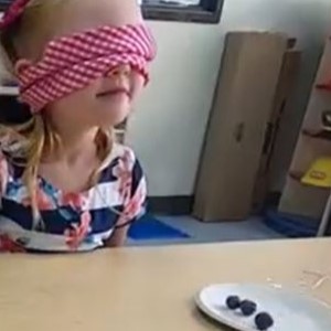 A kid playing a game of mystery tasting of blueberries.