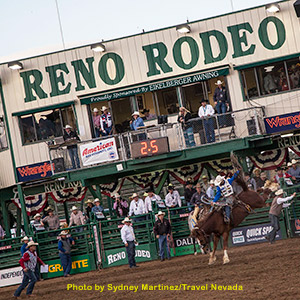 Bronco Riding at the Reno Rodeo