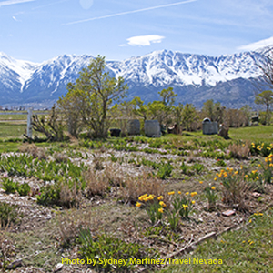 Dangberg Home Ranch Historic Park fields with snow covered mountains in background