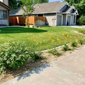A buffer strip with drought-tolerant plants between the lawn and the sidewalk.