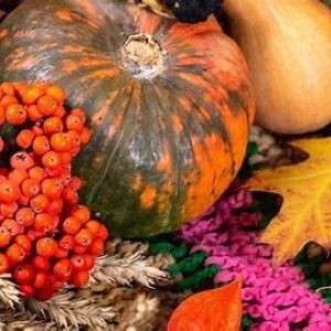 Pumpkins, spikelets of wheat and Rowan on a colorful multi-colored knitted blanket