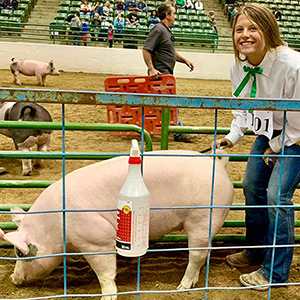 4-H girl posing with her pig at a livestock show.