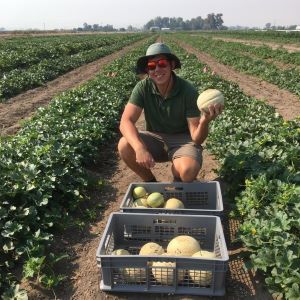 researcher in melon field