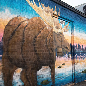 Moose mural in Elko, NV