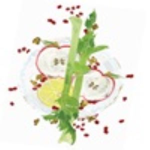 Apple salad ingredient illustration by Jessie Boulard