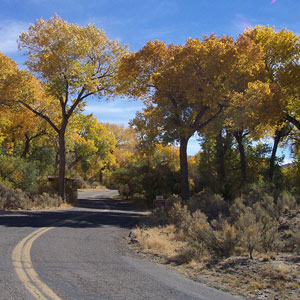 Entering the Dayton State Park