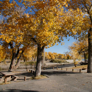 Picnic area at Lahontan State Park