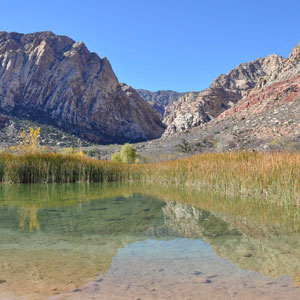 Small canyon at Spring Mountain Ranch State Park