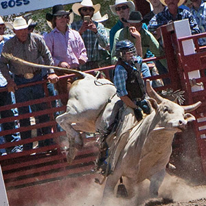 County Rodeo in Yerington, NV