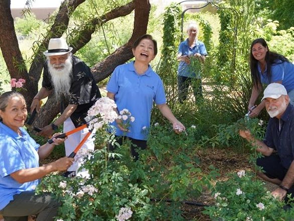 Clark County Master Gardeners in garden