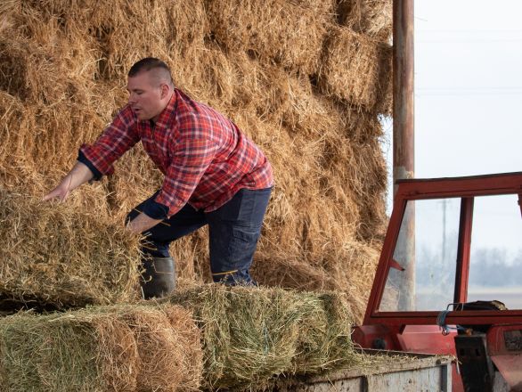 A farmer loading hay bales on a truck