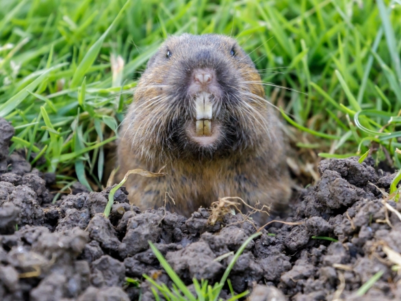 placeholder image - 1