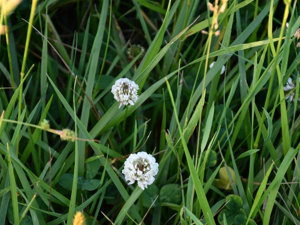 placeholder image - 5