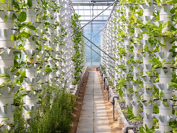 vertical farming