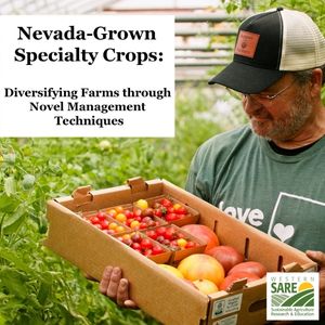 Rob Holley holding a box of tomatoes inside the hoop house. Text on screen is Nevada-Grown Specialty Crops: Diversifying Farms through Novel Management Techniques. Western SARE program logo in bottom right corner.