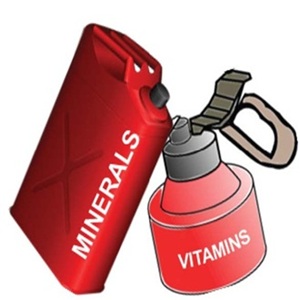 gas and oil cans with the words minerals and nutrients labeled on them