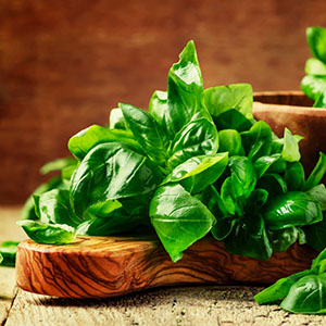 basil leaves