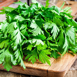 parsley leaves
