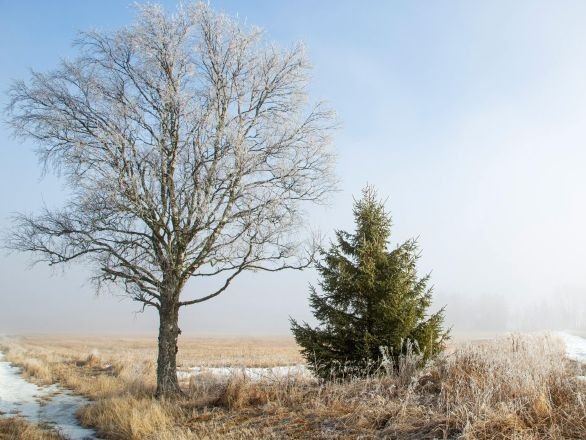 placeholder image - 40