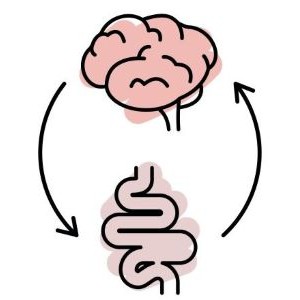 A brain and the gut showing they are connected.