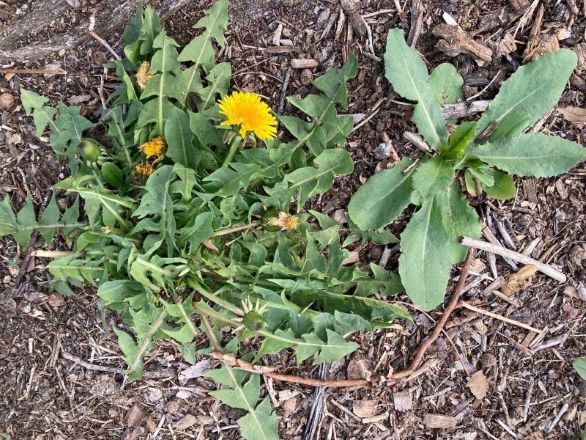 placeholder image - 1111