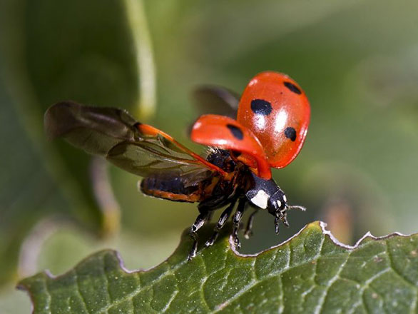 placeholder image - 1110