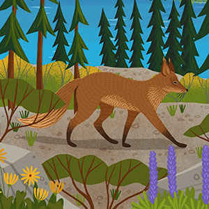 cartoon fox walking through the forest