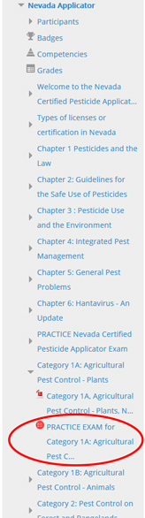 graphic of the sidebar of the extension online campus navigation bar illustrating how to navigate to the practice exam